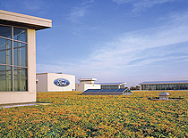 At 10.4-acres, the roof atop the Ford Dearborn Truck Assembly Plant in Michigan is the world's largest green roof.
