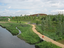 Two groves of rare wet woodlands are kept moist by low earthen embankments that overtop during high tide.